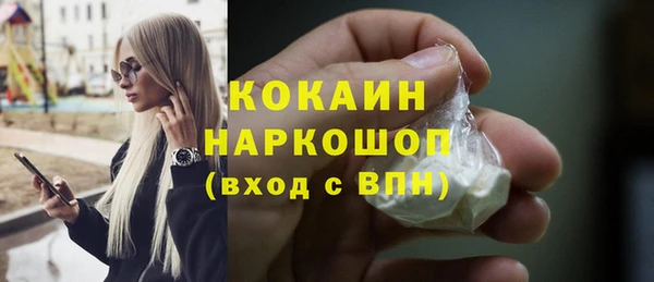 a pvp Ельня