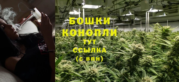 сатива Дмитровск