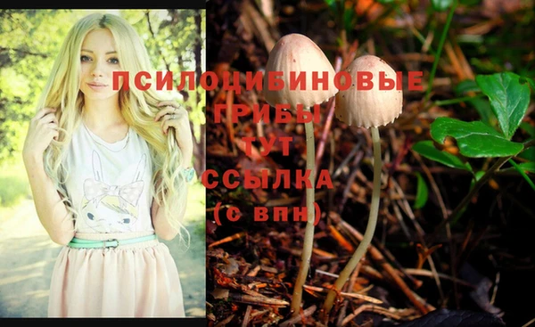 мескалин Елизово