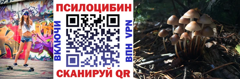 Галлюциногенные грибы мицелий  darknet клад  Звенигово  купить наркотик 